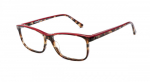 více - Dioptrické brýle Etnia Barcelona Amalfi LERD