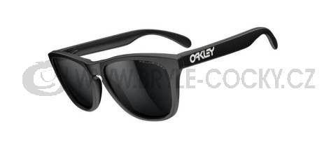 zvětšit obrázek - Sluneční brýle Oakley Frogskins 24-297